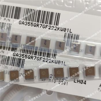GA243DR7E2473MW01L(SAMPLE)的产品图片