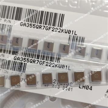 GA243DR7E2473MW01L(SAMPLE)的产品图片