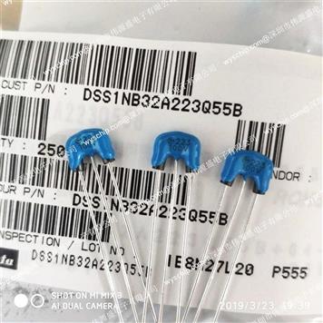 DSS1NB32A223Q55B的产品图片
