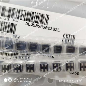 DLW5BSM302SQ2L的产品图片
