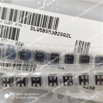 DLW5BSM302SQ2L的产品图片